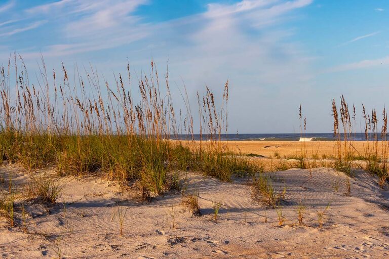Anastasia State Park Beach with clear blue skies