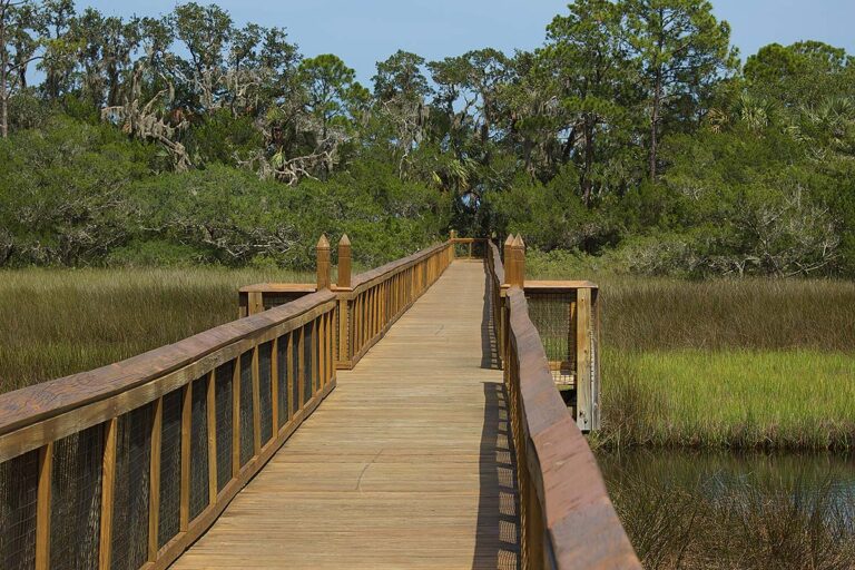 Fort Mose, the first free African settlement in North America